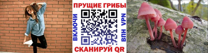 Купить где  Спасск-Рязанский  Галлюциногенные грибы прущие грибы 