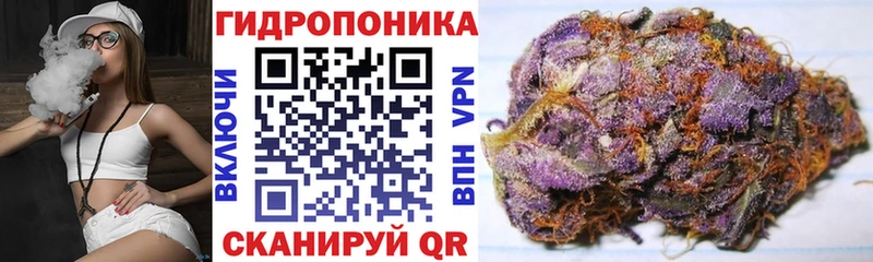 Купить  Спасск-Рязанский  Бошки Шишки Amnesia 